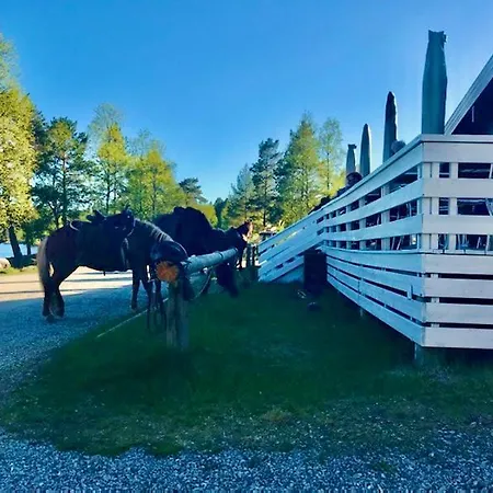 호텔 Finnskogen Hyttegrend 3*